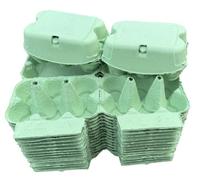 Anglia Farm Supplies 100 Mint Green Egg Boxes - Luxurious Smooth Lid half dozen Coloured Cartons