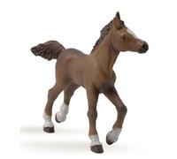 Anglo-Arabian Foal Figurine