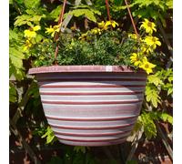 Anglo Eastern Trading Co 30Cm Olympia Basket Terracotta With White Planter Pot