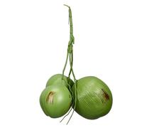 Angoily 1 Bunch Lifelike Artificial Coconuts with Realistic Texture and Color Simulated Fruit Model for Tropical Home Decor Photo Props Party Decorations Farmhouse Shelf Accent