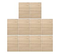 Angoily 10pcs Taekwondo Breaking Boards for Practicing, Synthetic Material Martial Arts Training Planks 0.3cm and 0.9cm Thickness, for Taekwondo Performance and Martial Arts Academy Use