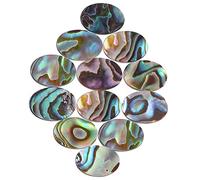 Angoily 12pcs Decorative Abalone Shell Cabochons for Jewelry Making Flat Beads for DIY Crafting for Necklaces Bracelets and Pendants Unique Patterns and Colors