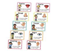 Angoily 2 Sets Flash Cards Early Childhood Learning Posters for Cognitive Development Sensory Skills for Preschool Kindergarten Education Enhances Memory Retention Creative Learning Spaces