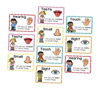 Angoily 2 Sets Preschool Learning Posters Cognitive Flashcards for Sensory Education Tools for Early Learning Home Daycare Libraries