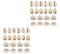Angoily 2sets Conch Shells for Crafting Fish Tank Decor and Home Decoration Drilled Shells for Vase Filler Model Making and Bonsai Decoration 100pcs*2