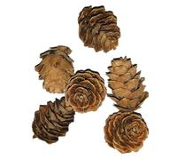 Angoily 50 Pcs Realistic Pine Cones Dried Pine Cone Decorations for Home Office