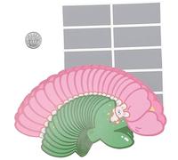 Angoily 60 Sets DIY Scratch Off Cards for Birthday Party Favors Funny Prize Game Cards for Weddings Family Gatherings Classroom Rewards
