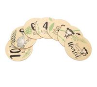 Angoily 7pcs Wooden Month Plaques and Discs for Craft Round Shape, Chic Style Photo Prop for Growth Recording and Back to School Welcome Sign