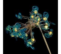 Angoily Blue Ocean Theme Copper Wire String Lights with 20 LED Multi-Scene Decoration, Lightweight Plastic Design for Party and Festival Indoor Use, Ip44 Certified