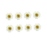 Angoily Dried Daisy Flowers for Resin Crafts 12 Pieces Natural White Flat Pressed Flowers for Wedding Decoration and Handmade Jewelry