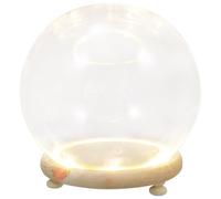 Angoily Glass Cloche Dome with Lighted Base for Micro Landscape Displays and Eternal Flower Protection, Glass Display Case for Home and Desktop Use