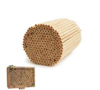 Angoily Natural Reed Mason Bee Tubes, 15cm Bee Nesting Tubes, Pollinator Hotels, Natural Bamboo Beehive, Beekeeper Replacement Refill Accessories for Outdoor Garden House