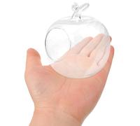 Angoily Oblique Glass Planter Terrarium Container Shaped DIY Plants Holder Suitable for Desktop and Home Decoration