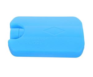 Angoily Reusable Cooling Ice Pack Pet Summer Cooling Supply Gel Shock-proof Wear-resistant Cooler Pack for Camping Food Transportation