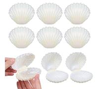 Angoily Shell Candy Boxes 30Pcs Pearlescent Plastic Small Containers for Wedding Party Favour Storage and Organisers