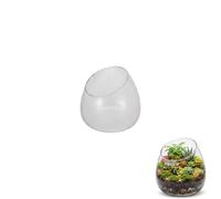 Angoily Slanted Glass Terrarium Bowl - Artistic Clear Open Vessel for Succulents, Air Plants & Micro Landscape - Creative Glass Propagation Vase for Home Office Desk Centerpiece Table Decor