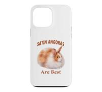 Angora Rabbits Are Best for Pet Rabbit Fans Case for iPhone 13 Pro Max