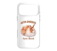 Angora Rabbits Are Best for Pet Rabbit Fans Case for iPhone 17 Pro Max