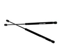 ANGRONG Tailgate Struts 2x Rear Tailgate Boot Gas Struts Support For Peugeot 206 CC 2D Convertible 00-10 Hatch Liftgate Lift Supports Shocks