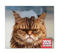 Angry Cats Calendar 2026, 28x22cm Peed-off Cats Wall Calendar, Funny Wall Planner With Jan - Dec, 12 Month To View Monthly Planner, For Kitten Lovers Home Decor