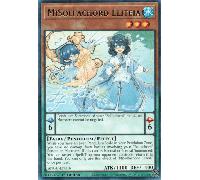 ANGU-EN016 MiSolfachord Eliteia