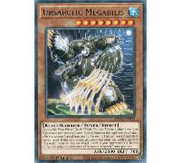 ANGU-EN032 Ursarctic Megabilis