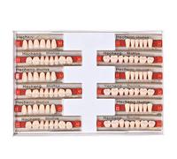 Angzhili 84 Pcs Dental Acrylic Resin Denture False Teeth 3 Sets Synthetic Polymer Resin Denture Teeth 23 Shade A2 Upper + Lower Dental Materials