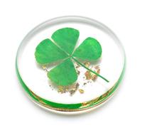 ANH3KT Real Four Leaf Clover, Authentic 4 Leaf Clover Good Luck Charm 1.25”, Ideal for Gifts, Lucky Charm Clover For Family (Including Gold Leaf), Small, Resin, No Gemstone, Small, Resin, No Gemstone