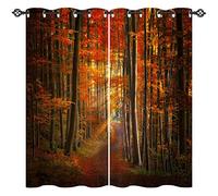 ANHOPE Autumn Forest Curtains Eyelet 80% Blackout Room Darkening Curtains with Fall Woodland Tree Path Print Pattern Thermal Insulated Window Drapes for Bedroom Living Room 46 x 63 Inch Drop 2 Panels