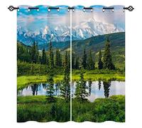 ANHOPE Landscape Curtains Eyelet 80% Blackout Room Darkening Curtains with Nature Scenery Snow Mountain Print Pattern Light Blocking Window Drapes for Bedroom Living Room 46 x 54 Inch Drop 2 Panels
