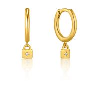 Ania Haie E032-01g Earrings