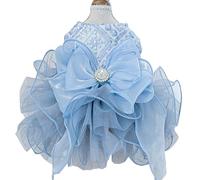 ANIAC Blue Cat Wedding Dress with D-Ring Bow Knot Dog Wedding Outfit Formal Puppy Clothes for Girl Small Dog Luxury Pet Party Dress for Kitten Chihuahua Yorkie Pomeranian (Blue-2, X-Large)