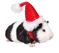 ANIAC Christmas Hamster Hats Guinea Pig Costume Mini Santa Hat for Kitten Chinchilla Rabbit Bunny Hedgehog Ferret Squirrel Rats Duck Newborn Puppy
