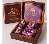 Anima® Amethyst Crystal Set for Peace, Intuition & Rest