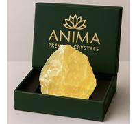Anima Citrine Crystal - Large 4-5cm Radiant Yellow Natural Raw Citrine Stone for Abundance, Positivity & Confidence - Ethically Sourced, Presented in Elegant Gift Box
