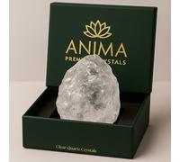 Anima Clear Quartz Crystal - Large 4-5cm Natural Raw Clear Quartz Stone for Clarity, Energy & Amplification - Ethically Sourced, Presented in Elegant Gift Box