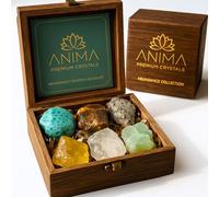 Anima Premium Abundance Crystals Set with Guide Booklet - Large Raw Healing Crystals in Wooden Box for Prosperity, Success & Good Luck - Pyrite, Amazonite, Aventurine, Citrine - Responsibly Sourced