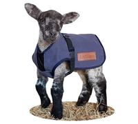 AniMac Canvas Lamb Coat | Kid | Cria | Small Dog | 100% Cotton Canvas | Showerproof (18" X Large)