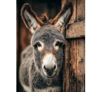 Animal 5D Diamond Art, Donkey Diamond Art Kits Adults, DIY Square Full Drill Crystal Gem Kits for Beginners, 5D Cross Stitch Embroidery Crafts Pictures for Adults, for Home Wall Decor, 16x20in 3-2006