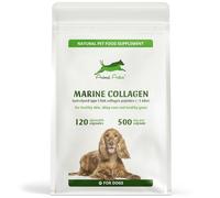 Animal Active Marine Collagen for Dogs, Supports Dry and Itchy Skin, Shiny Coat & Healthy Gums, Premium Micronised Collagen Peptides, Skin Health Dog Supplement, 120 x 500mg Open & Sprinkle Capsules