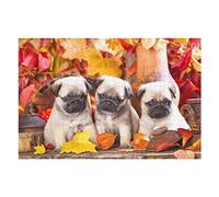 Animal Adults Puzzle Sets 1000 PCS Dog Pattern Puzzles, for Adults & Kids Alter 12 Years Up Ideal for Relax Meditation Hobby Fun Puzzles 26x38CM