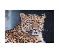 Animal Adults Puzzle Sets 1000 PCS Leopard Graphic Puzzles, for Adults and Teens, Ideal for Relaxation, Meditation, Hobby, Premium Puzzles 50x70CM