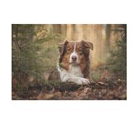 Animal Adults Puzzle Sets 1000 Pieces Dog Graphic Puzzles for Women Men Games Entertainment Fun Puzzles 26x38CM