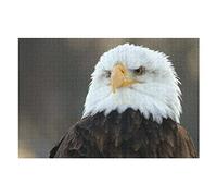 Animal Adults Puzzle Sets 2000 PCS Bald Eagle Graphic Puzzles, for Adults, Teens, Kids Games, Entertainment, Difficult Hard Puzzles 70x100CM