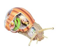 Animal Anatomical Model - 4D Visual Snails Anatomical Model -32 Detachable Organs And Body Parts Anatomy - for Biology Animal Teaching Model