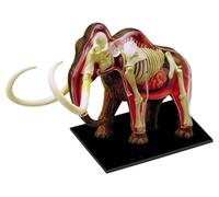 Animal Anatomy Model, Mammoth Body Parts and Visual Organs for Teaching | Educational Animal Anatomy Model for Understanding Mammoth Body Parts and Organs in Classroom Teaching and Learning