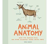 Animal Anatomy: Sniff Tips, Running Sticks, and Other Accurately Named Animal Parts
