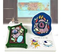 Animal and Plant Cells Model, Biological Teaching Comparative Models, Medical Anatomical Teaching Model, Clear Texture for Study Display