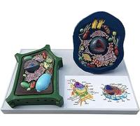 Animal and Plant Cells Model - Educational Anatomical Teaching Model for Biology Study, Display, and Study Purposes, Ideal for Classroom and Home Learning