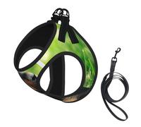 Animal Animal Cute Dog Puppy Rottweiler,Pet Harness,Adjustable Reflective Dog Harness,Pet Leash Vest,S